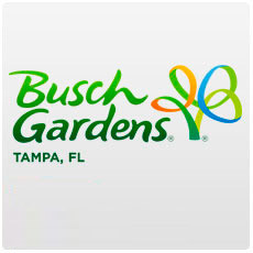 BUSCH GARDENS TAMPA – QUICK QUEUE UNLIMITED PLUS