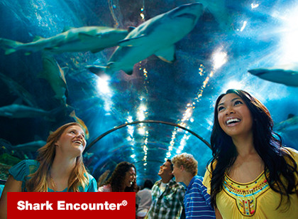 SeaWorld San Diego Any Day Ticket 